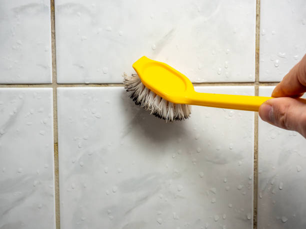  Cumings, TX Mold Removal Pros