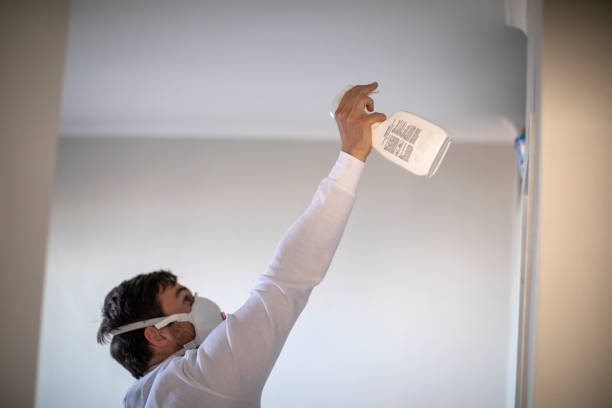 Best Bathroom Mold Remediation in Cumings, TX