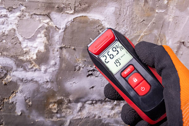 Best Black Mold Remediation in Cumings, TX