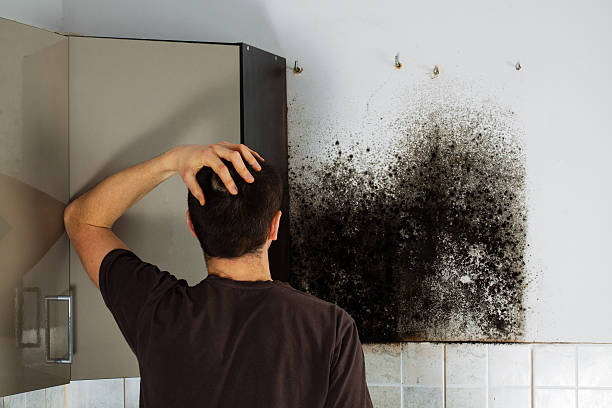 Best Residential Mold Remediation in Cumings, TX